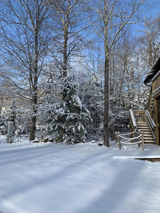 Woodland Lodging Apartment Bayfield Exterior photo