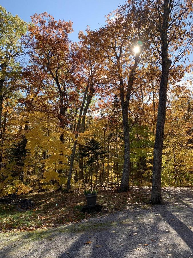 Woodland Lodging Apartment Bayfield Exterior photo