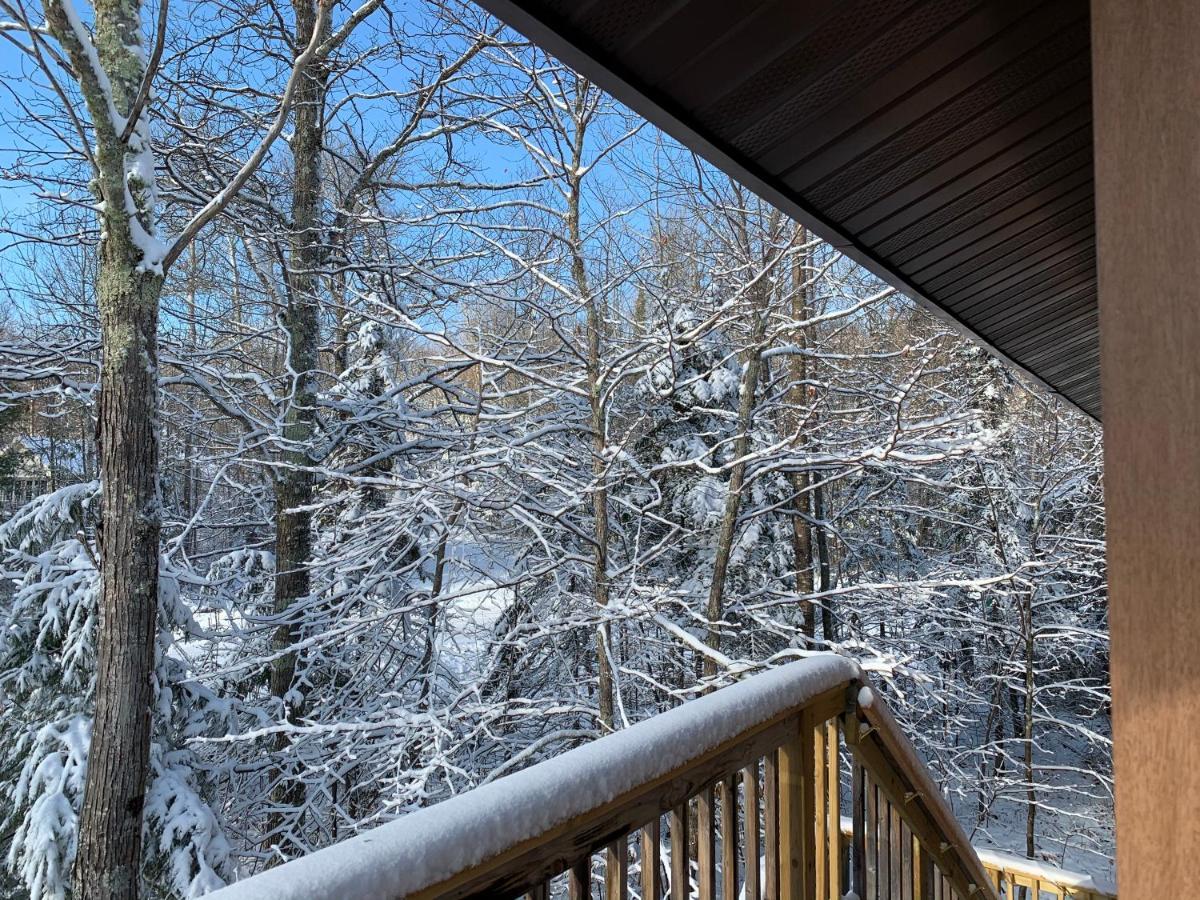 Woodland Lodging Apartment Bayfield Exterior photo